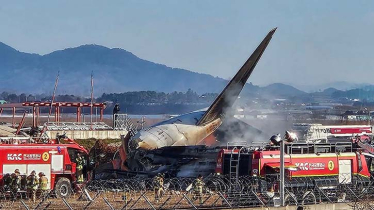 At least 28 killed as plane skids off runway in South Korea