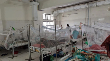 One dengue patient dies, 477 hospitalized