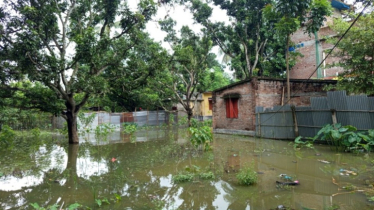 Chuadanga suffers waterlogging following heavy rainfall