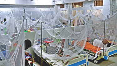 Six more die of dengue