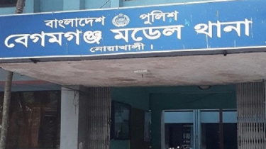 7 dacoits arrested with guns in Noakhali
