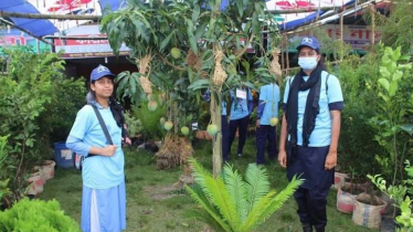 15-day long tree fair begins in Khulna