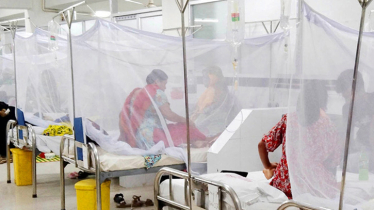 Dengue claims 5 more lives in 24hrs