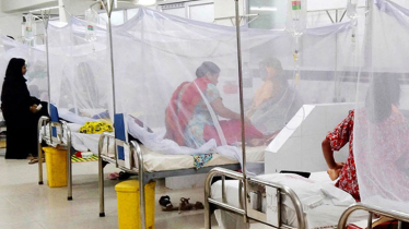 Dengue claims 3 more lives in 24hrs