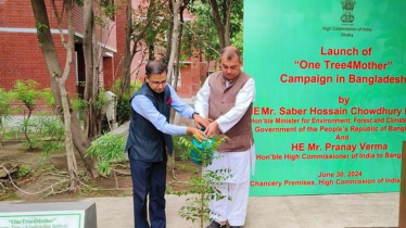 Everyone should plant a sapling: Saber