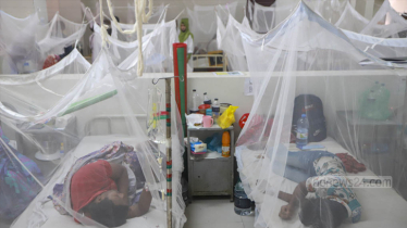 Dengue: 103 hospitalised in 24hrs