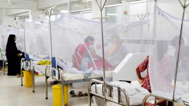 3 more die from Dengue, 583 hospitalised