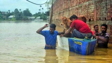 Rising Gomti River water leaves thousands in distress in Cumilla