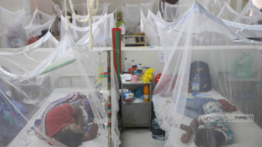 Dengue: 32 patients hospitalised in 24hrs