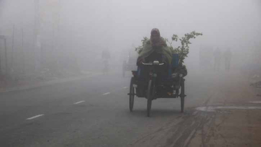 Biting cold and chilling winds disrupt daily life in Naogaon