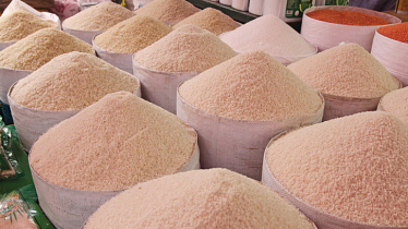Govt allocates 858.7 tonnes rice in Manikganj