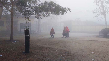 Panchagarh shivers amid season’s lowest temperature