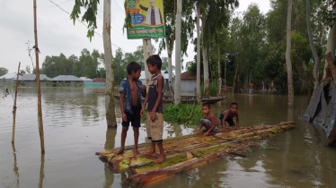 Rising water levels in Teesta poses flooding in Lalmonirhat