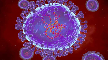 Woman dies after infection with Human Metapneumovirus