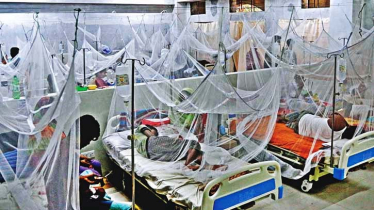 Dengue: One more death reported in 24hrs