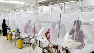 3 more die from Dengue, 801 hospitalised in 24hrs