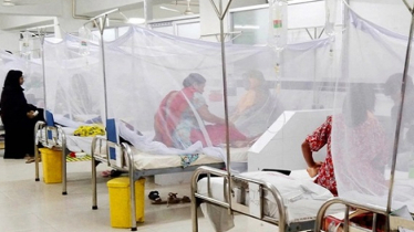 Dengue: 12 patients hospitalised in 24hrs