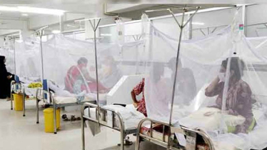 5 more die of dengue, 1337 hospitalised