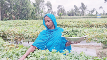 Woman becomes self-reliant with vegetable farming 