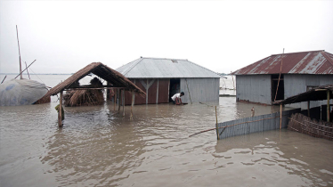 Flood affects 2 upazilas in Jamalpur