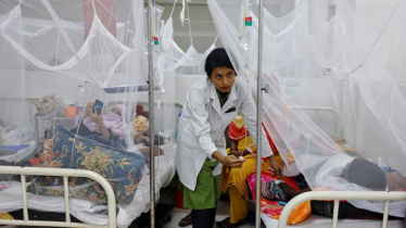 Five die, 570 hospitalised with dengue in last 24 hrs