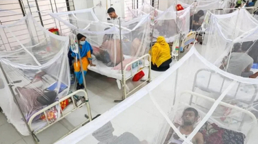 8 more die of Dengue, 1134 hospitalised