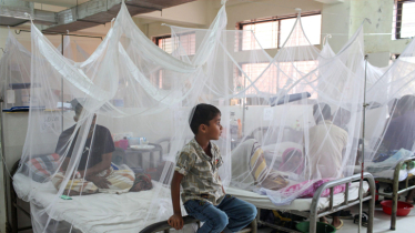 Dengue: 155 hospitalised in 24hrs