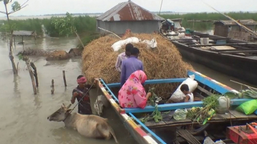 Relief scanty for Kurigram flood victims