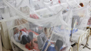 Ten more dengue cases reported in 24hrs