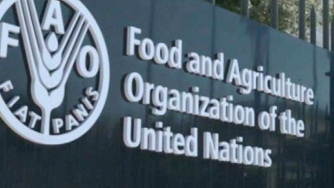 FAO supports Bangladesh in strengthening investment in crop sector