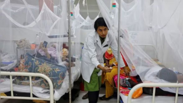 31 dengue patients hospitalized