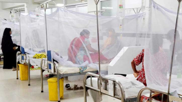 Dengue: 5 more deaths reported in 24hrs