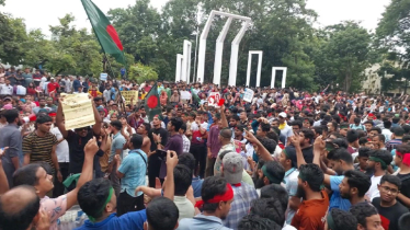 Students, teachers, other professionals gather at Shaheed Minar