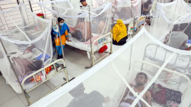 Seven die of dengue, 860 hospitalised in 24hrs