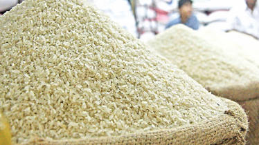 Govt to procure 30,692 tonnes of Boro rice in Jashore