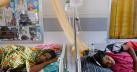 One dead,148 hospitalized in dengue