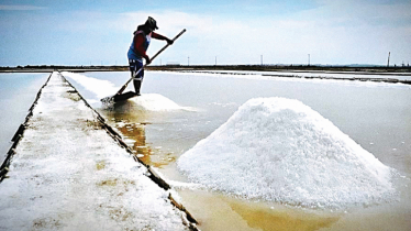 Salt prices plunge, leaving producers in deep waters