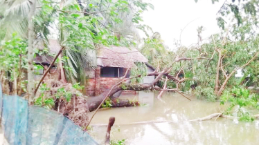 Cyclone ‘Remal’ wreaks havoc in Bagerhat 