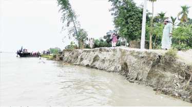 Brahmaputra River erosion hits Chilmari hard