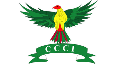 Govt appoints administrator for CCCI