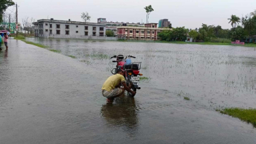 Record-breaking 241 mm rainfall in Kushtia causes severe public suffering