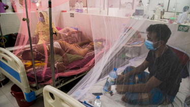 One dies of dengue; 49 hospitalised in 24hrs