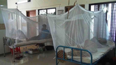 61 dengue patients hospitalised in 24hrs