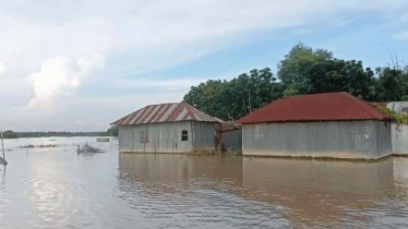 Water rises in Chapainawabganj rivers as no chance of flooding