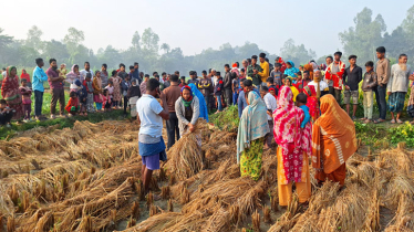 55-year-old woman’s body recovered in Dinajpur