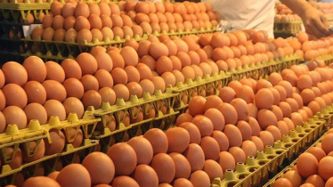 In Khulna, eggs selling at prices higher than govt rates