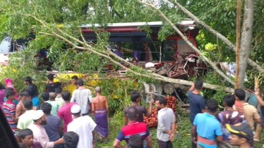 Bus-truck collision leaves 5 dead in Gopalganj