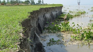 Severe Jamuna erosion puts homes, schools at risk