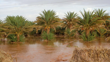 Eleven dead, nine missing in Morocco flooding