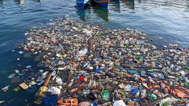 Phasing out plastic products: Stakeholders for following global practice